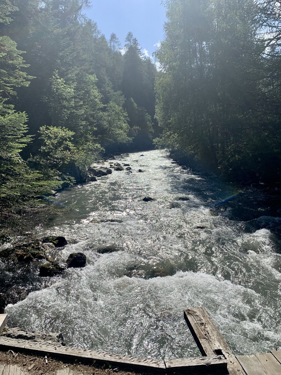 Les Oreilles vous souhaitent une année vivifiante et pleine de soleils en tout genre. 

Nous arrêtons de poster sur X mais nous sommes sur Bluesky ! 
👉 bsky.app/profile/lesore… 

Et tous les mercredis ou presque à 19h sur Fréquence Paris Plurielle ! 👋