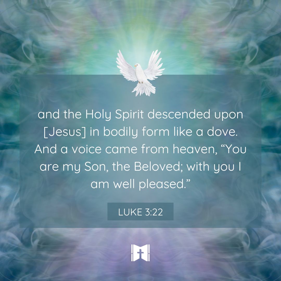 and the Holy Spirit descended upon him in bodily form like a dove. And a voice came from heaven, “You are my Son, the Beloved; with you I am well pleased.”
Luke 3:22

#WednesdaysWord #baptism #bapstismofourloud