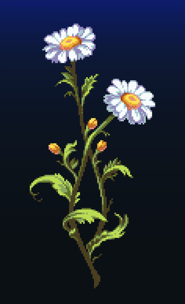 came2slide's tweet image. daisy study

#pixelart