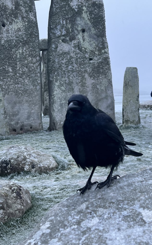ST0NEHENGE's tweet photo. Sunrise at Stonehenge today (8th January) was at 8.09am, sunset is at 4.19om🥶❄️ https://t.co/ok7zpGPPGx