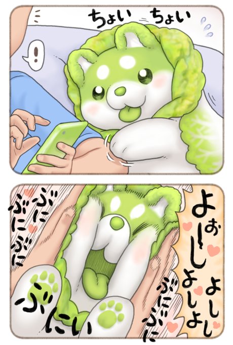ぽん吉ページ ぽん吉🌱おやさい妖精さん (@PonkichiM) / X