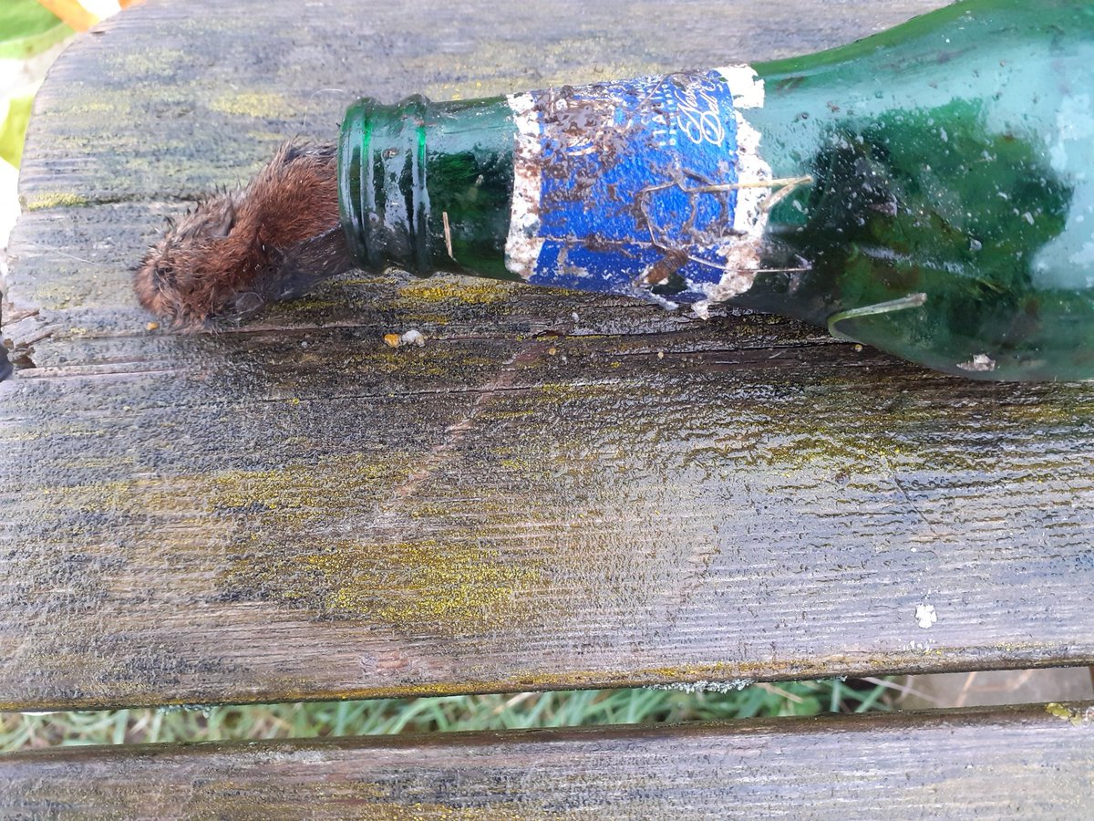 RiverCare&BeachCare tweet media