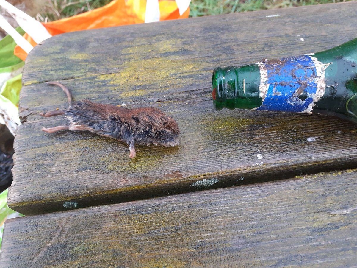 RiverCare&BeachCare tweet media