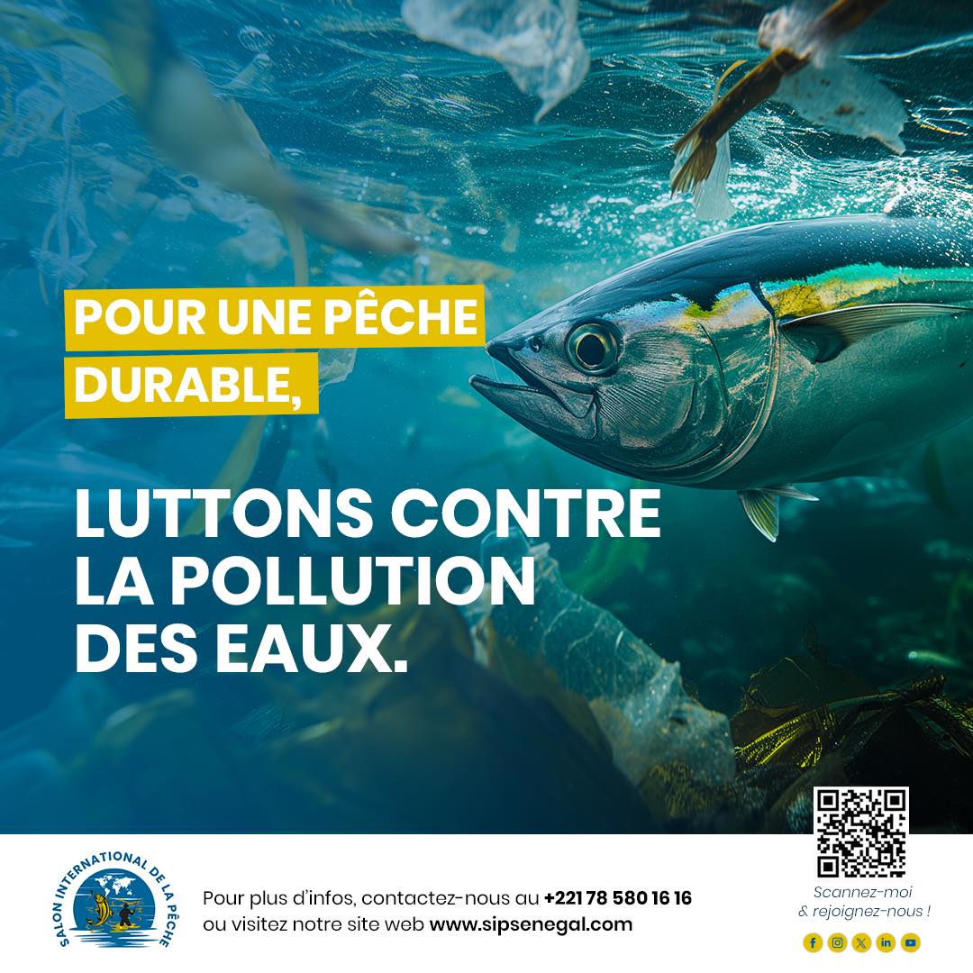 La pollution (plastiques, produits chimiques, eaux usées) est l'une des principales menaces pour la biodiversité aquatique.
Réduire les déchets, ainsi que promouvoir des pratiques de gestion des eaux usées, sont des étapes cruciales pour protéger les milieux aquatiques.
#SIPSN