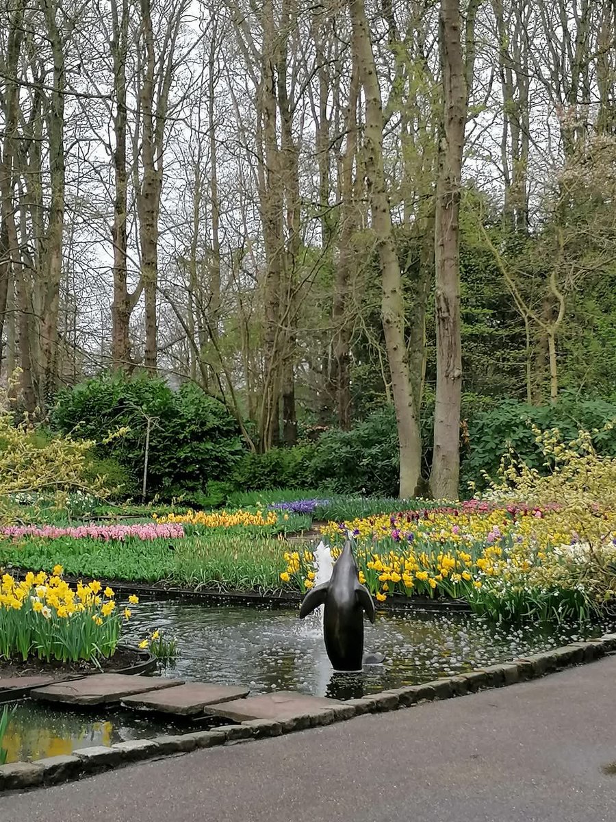 skymanuelima's tweet image. No Parque Keukenhof, sete milhões de bolbos de flores são plantados anualmente neste parque dos Países Baixos. #Parque #Keukenhof #Tulipas #Bolbos #flores #PaísesBaixos #travelphotography #viagens #FotógrafoAmador