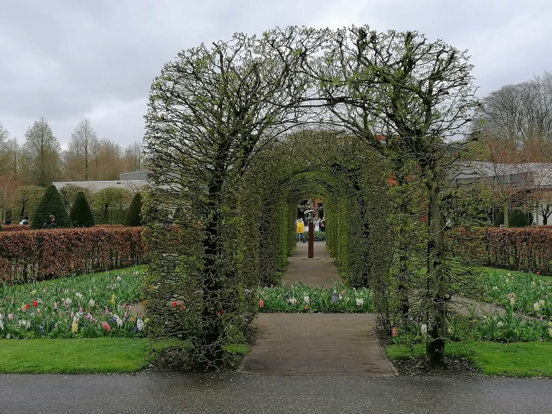 skymanuelima's tweet image. No Parque Keukenhof, sete milhões de bolbos de flores são plantados anualmente neste parque dos Países Baixos. #Parque #Keukenhof #Tulipas #Bolbos #flores #PaísesBaixos #travelphotography #viagens #FotógrafoAmador