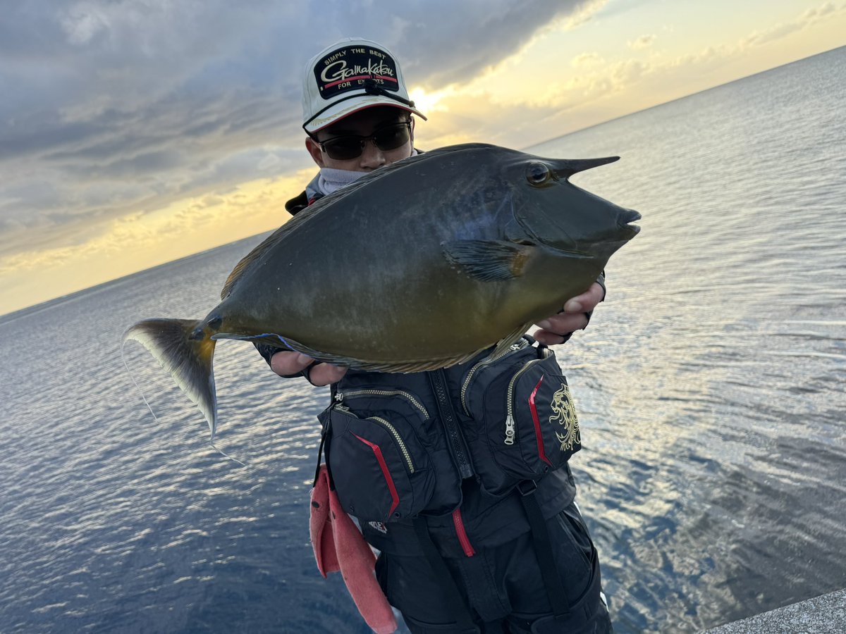 nakaima0815's tweet photo. 初釣り🎣
安岡の鬼才と最高の釣りが出来ました😊
鬼才が61.5のチヌマン釣って俺が51のサンノジ釣って今年幸先良すぎて逆に怖い🤣
アテンダーIIIの曲がりに惚れた😍
今年始まったばかりだから記録の年にします🫡
とりあえず尾長釣ること💪🏻
#がまかつ
#サンライン
#アテンダーIII https://t.co/7ZJ03W5NzO