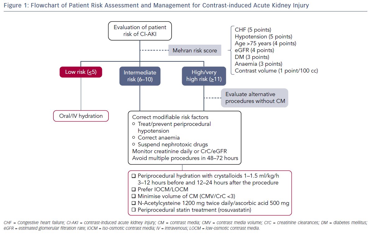 Preventing Contrast-Induced Acute Kidney Injury🫘 (#CI-AKI) Guide 🩺📊

🔗 doi.org/10.15420/icr.2…

#MEHRANscore #ContrastAKI #CA-AKI #AKI #Nephrology #MedTwitter