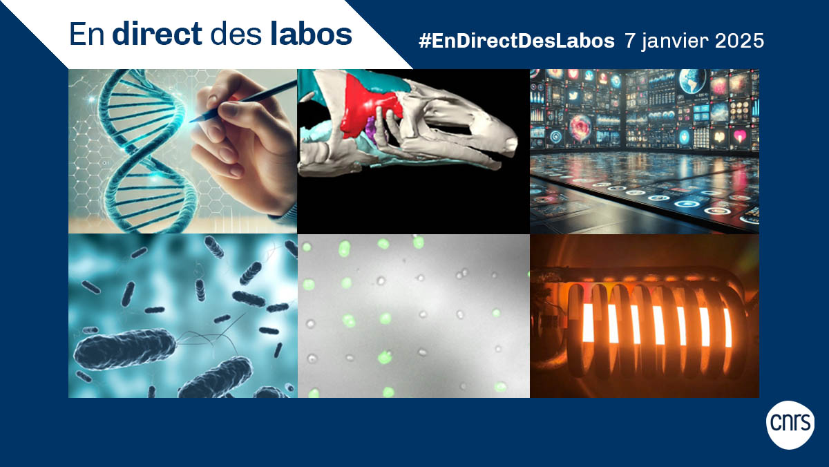 #EnDirectDesLabos🔎 Nouvelles actualités scientifiques 🔬, création de laboratoires 🧑‍🔬, annonce de prix 🥇... Retrouvez toutes les deux semaines les informations issues des laboratoires du <a href="/CNRS/">CNRS 🌍</a>

👉 cnrs.fr/endirectdeslab…