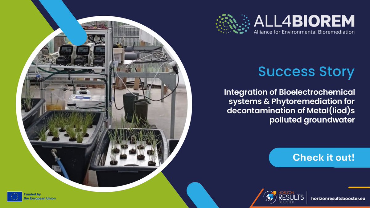 🌟 #ALL4BIOREM Success Stories! 🌟

We are thrilled to share the success stories developed by the EU Bioremediation Cluster team! These inspiring achievements highlight groundbreaking innovations and collaborations aimed at restoring soil and water ecosystems across Europe. 🌍✨