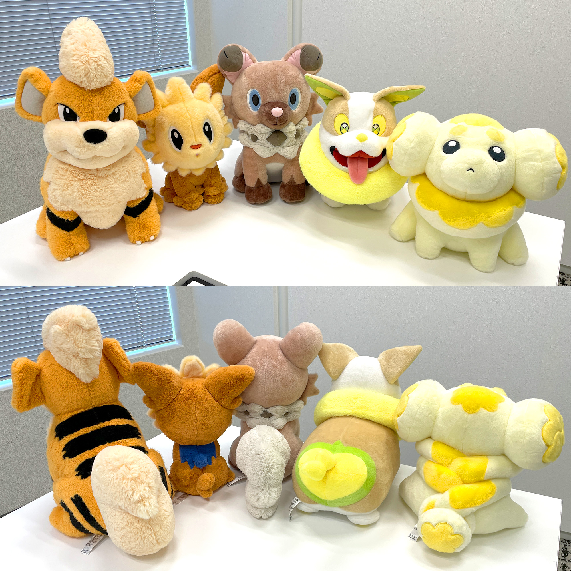 ポケモンだいすきクラブ編集部【公式】 on X: ポケモンだいすきクラブ編集部【公式】 on X: