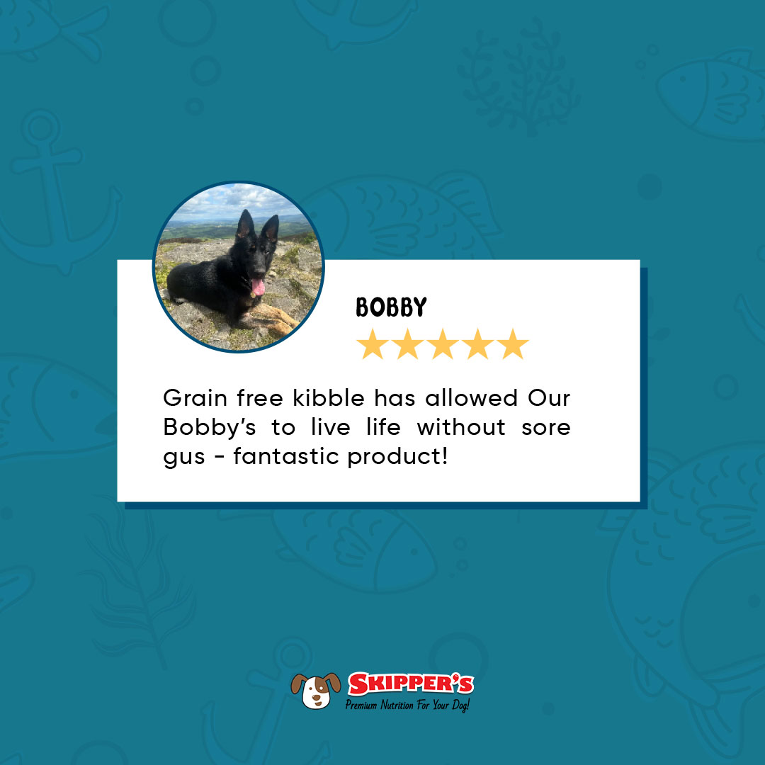If your dog has a sensitive stomach or suffers with allergies, we think Skipper's UK made dog food and 100% fish based treats may be worth a try 😉

#skipperspetproducts #naturaldogtreats #grainfree #naturaldogfood #madeinuk