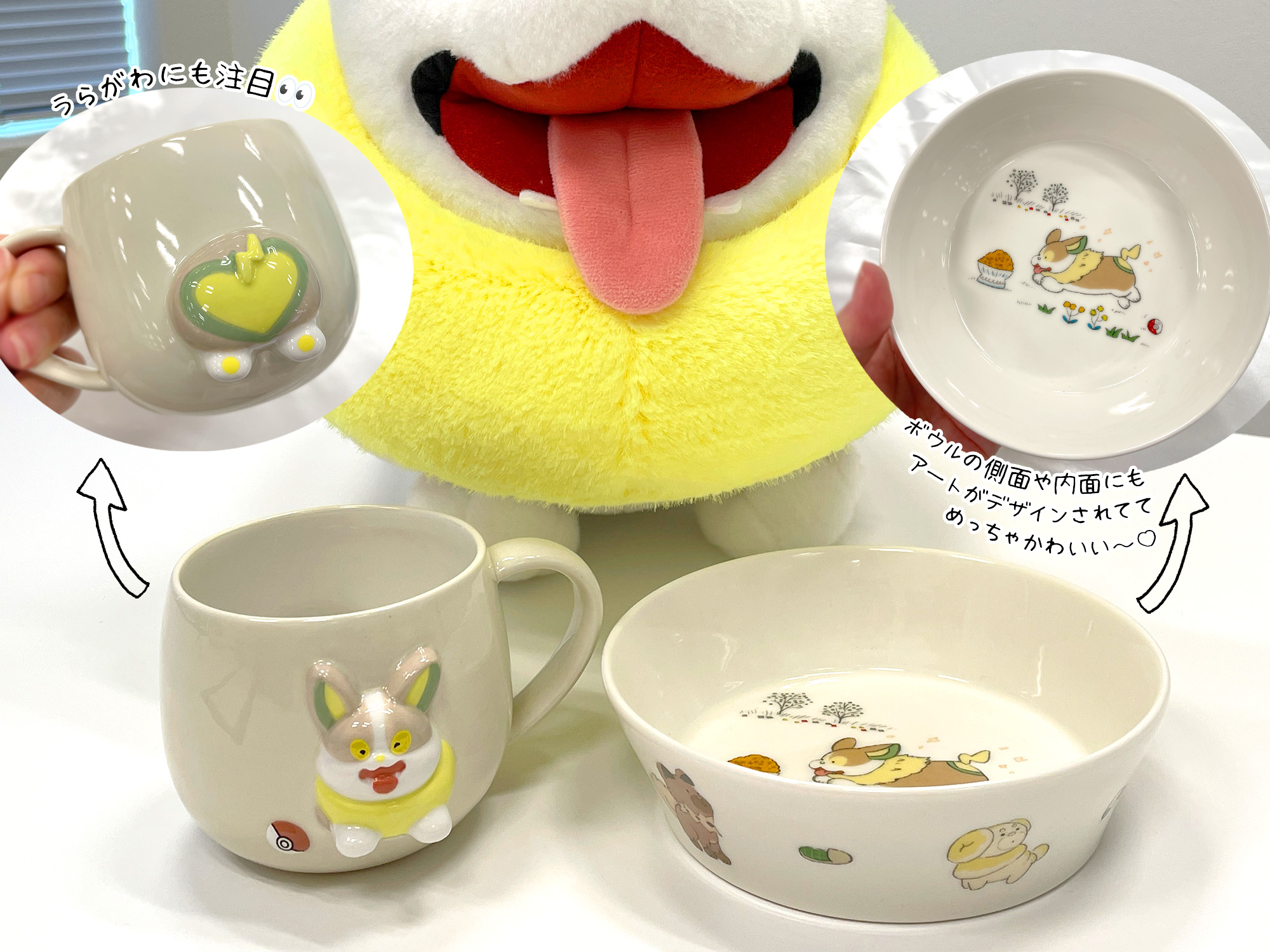 ポケモンだいすきクラブ編集部【公式】 on X: 