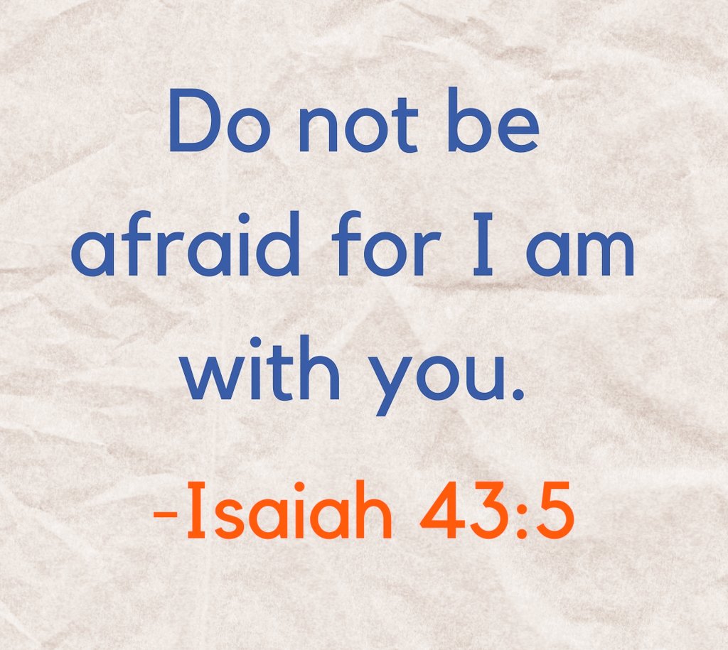 Holy Bible tweet media