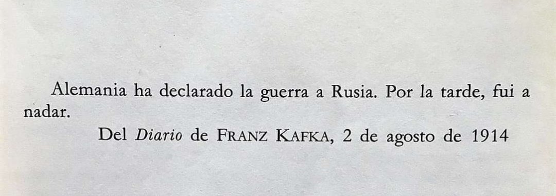 neo 🚩 tweet media