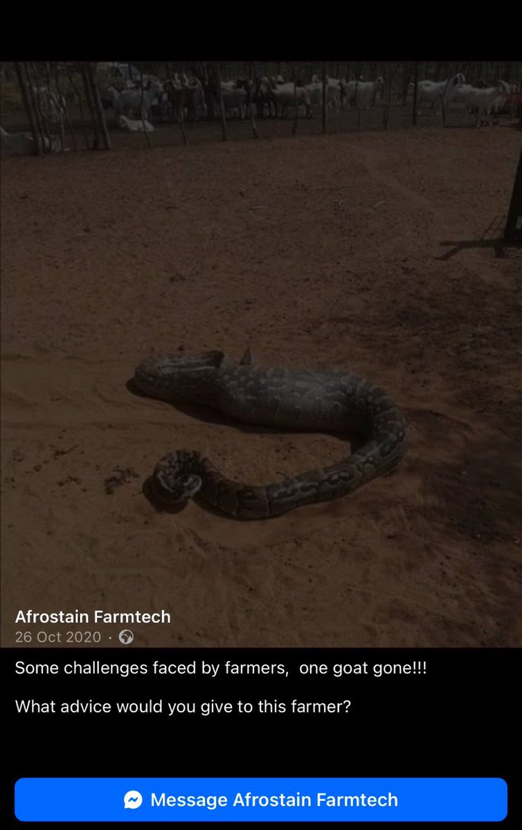 Ndues boy tweet media