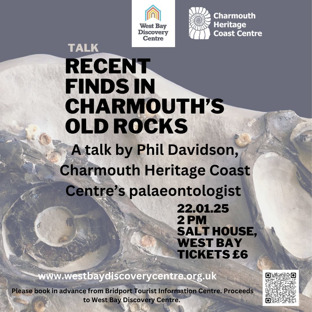 Then our own Phil Davidson will be speaking at the Salt House in West Bay on Recent Finds in Charmouth's Old Rocks, for our friends at the West Bay Discovery Centre. 🧵