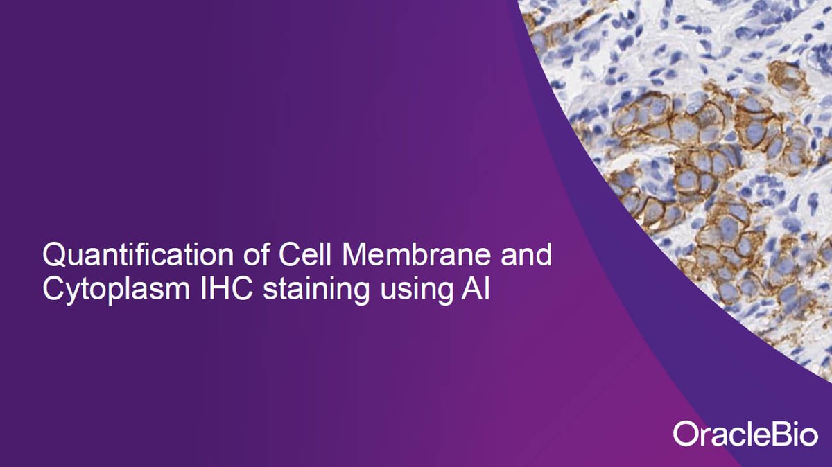OracleBio (@oraclebio) on Twitter photo ▶️ 𝗖𝗔𝗦𝗘 𝗦𝗧𝗨𝗗𝗬
We're excited to share our latest case study using <a href="/Indica_Labs/">Indica Labs</a> HALO ‘Membrane Seg (#HALOAI)’ classifier algorithm to analyse:
🔹 HER-2 IHC membrane staining
🔹 PD-L1 IHC membrane & cytoplasmic staining
Samples included Gastric Tumor and NSCLC, with all ▶️ 𝗖𝗔𝗦𝗘 𝗦𝗧𝗨𝗗𝗬
We're excited to share our latest case study using <a href="/Indica_Labs/">Indica Labs</a> HALO ‘Membrane Seg (#HALOAI)’ classifier algorithm to analyse:
🔹 HER-2 IHC membrane staining
🔹 PD-L1 IHC membrane & cytoplasmic staining
Samples included Gastric Tumor and NSCLC, with all
