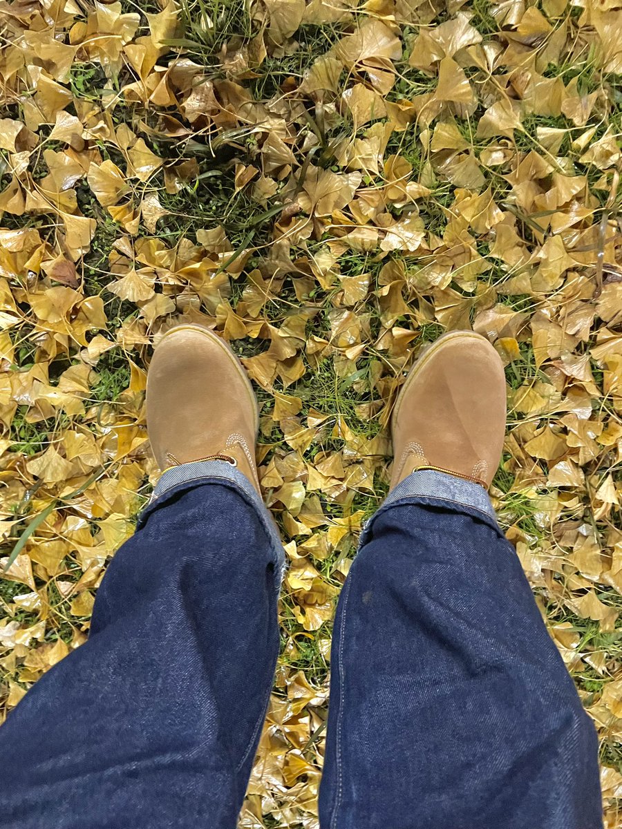 『Timberland×WHIZLIMITED x mita sneakers』

トリプルネームでGORE-TEXでビブラムソールでスウェード×ヌバックレザーとかいうてんこ盛りなやつ