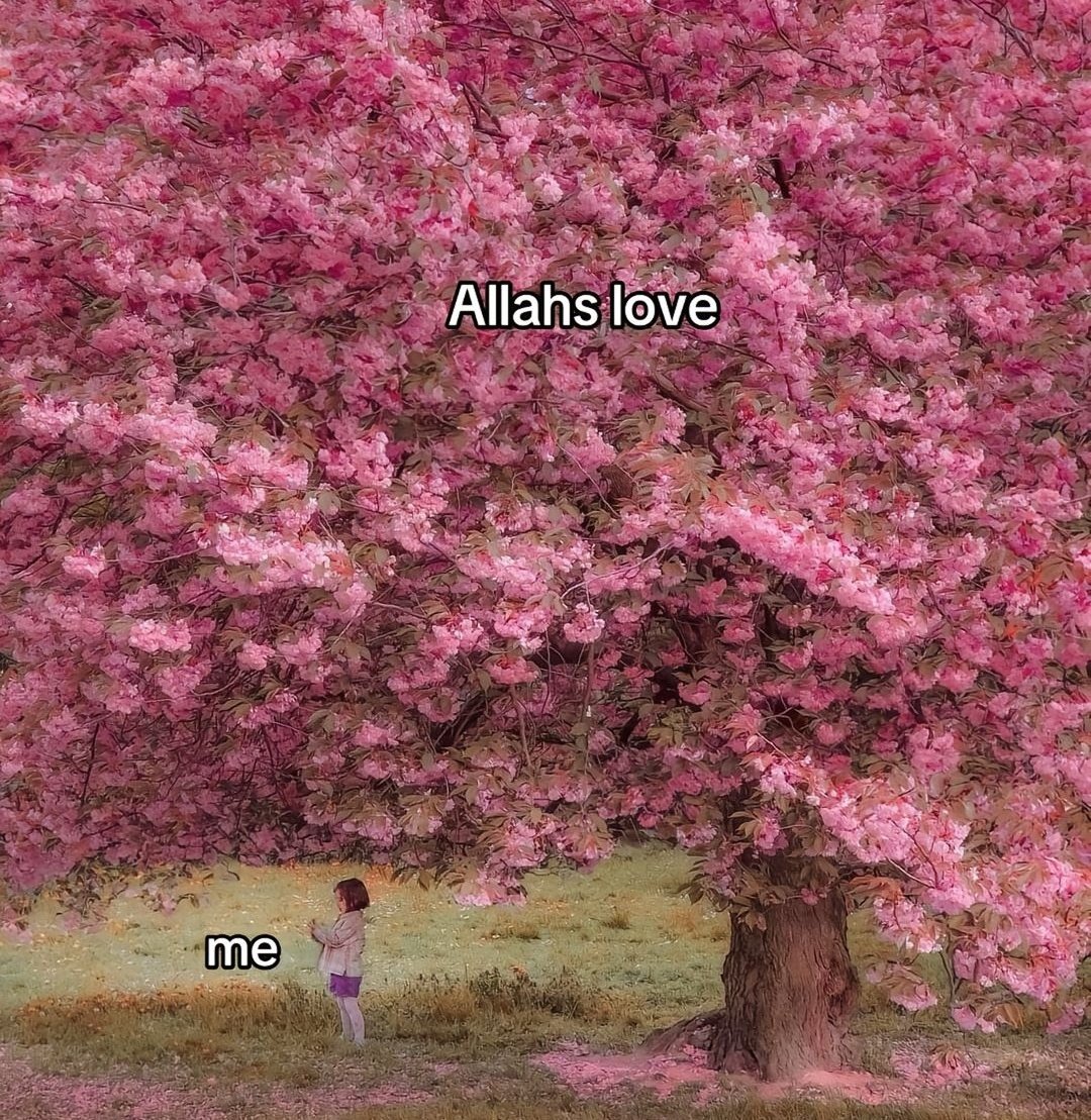 aluna (@faysiren) on Twitter photo 