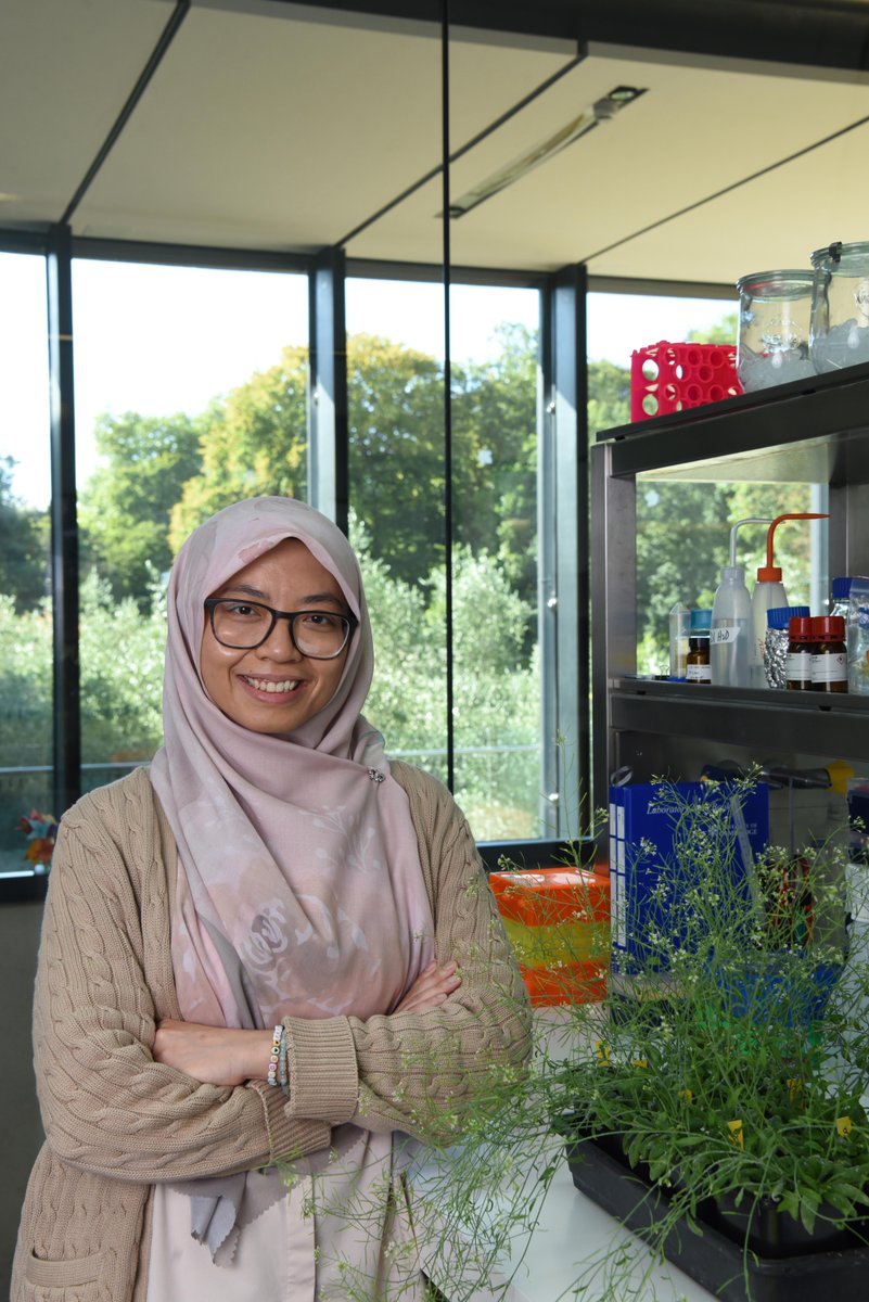 To celebrate National Bean Day (6 January), we're taking a look back at Dr Nadia Mohd-Radzman's pioneering work on the humble broad bean. 🌱🔬Learn more in the latest edition of King's Parade: ow.ly/1iwU50UB24S

#NationalBeanDay #Sustainability #PlantScience
📷 Stephen Bond