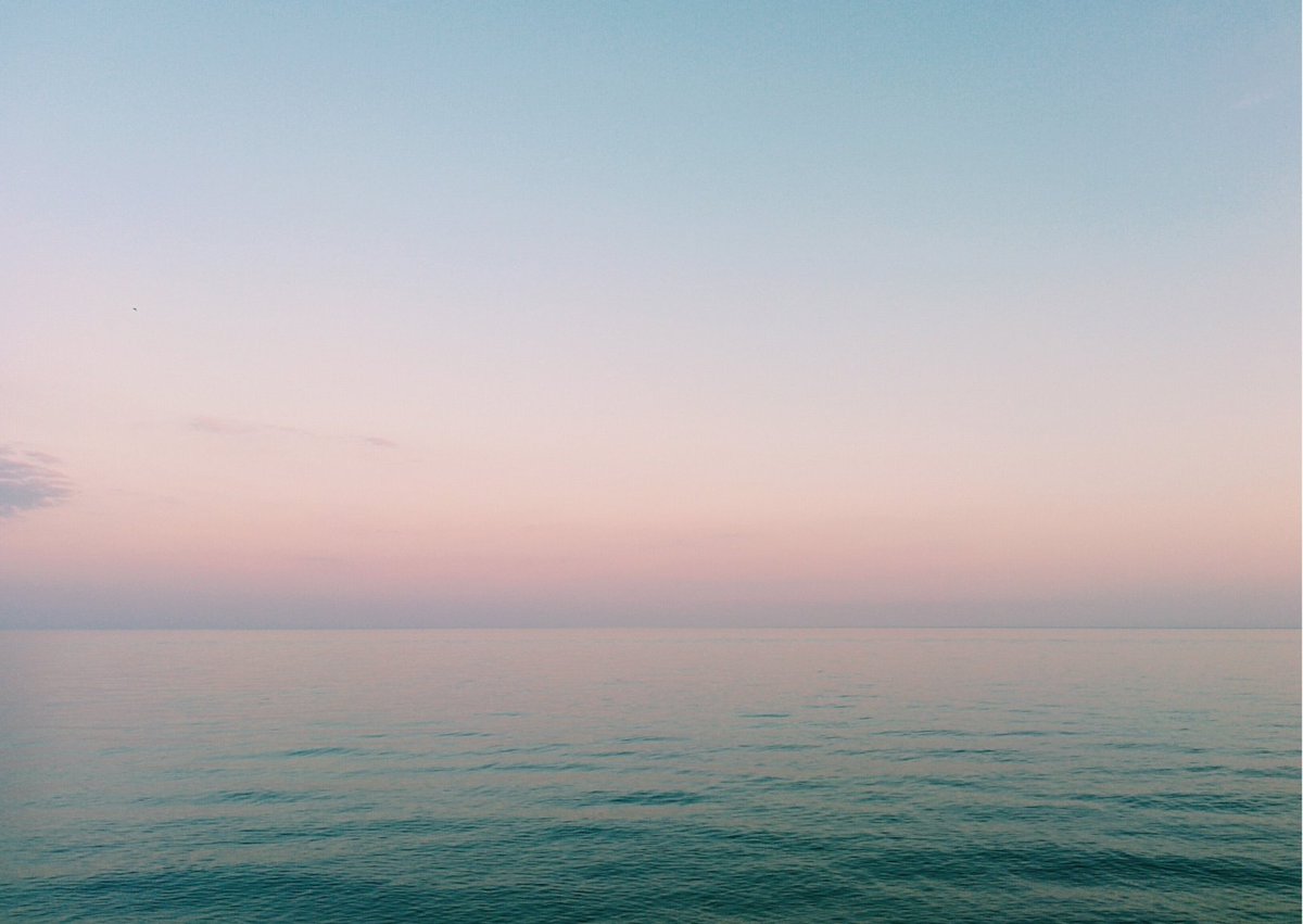 As of now, 106 countries have signed the High Seas Treaty, signaling their commitment to ratify it.

The treaty will enter into force 120 days after at least 60 countries have ratified it. To date, only 15 countries have ratified the treaty - 45 more countries to go!

The High