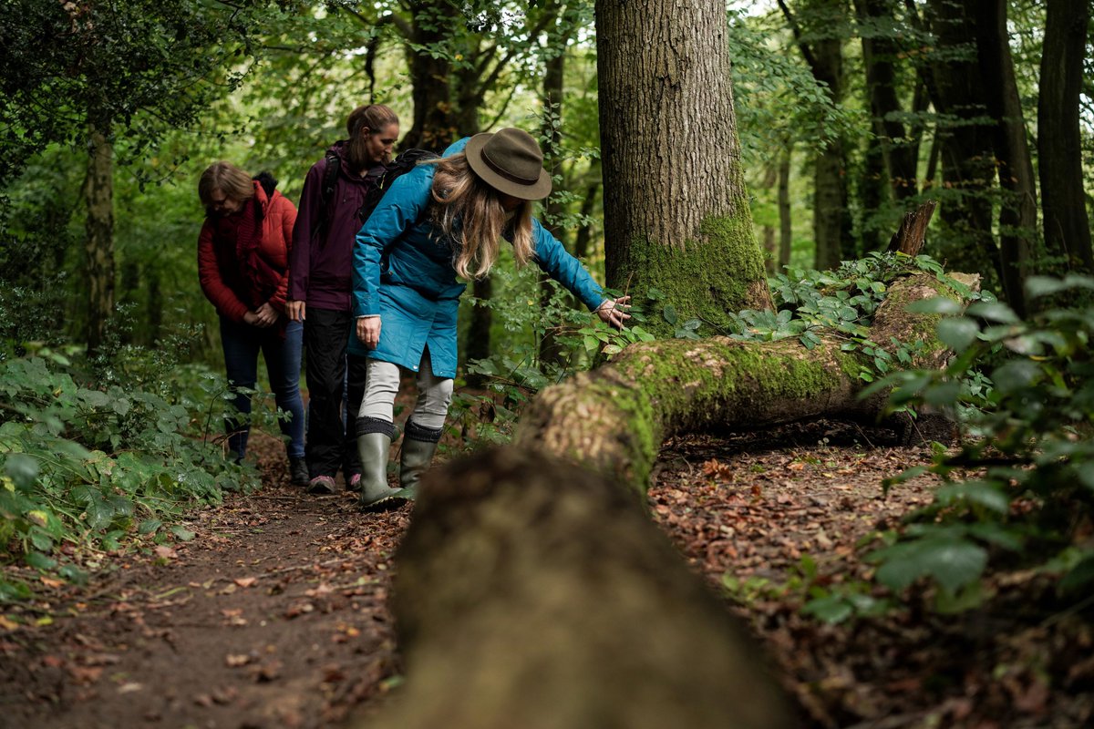🍃 Forest Bathing: 18 &amp; 26 January 2024 🍃

Join Tansy in the Wild in the grounds of Hever Castle to enjoy some grounding and deeply relaxing forest bathing for the new year.

Discover more: bit.ly/HCwhatson