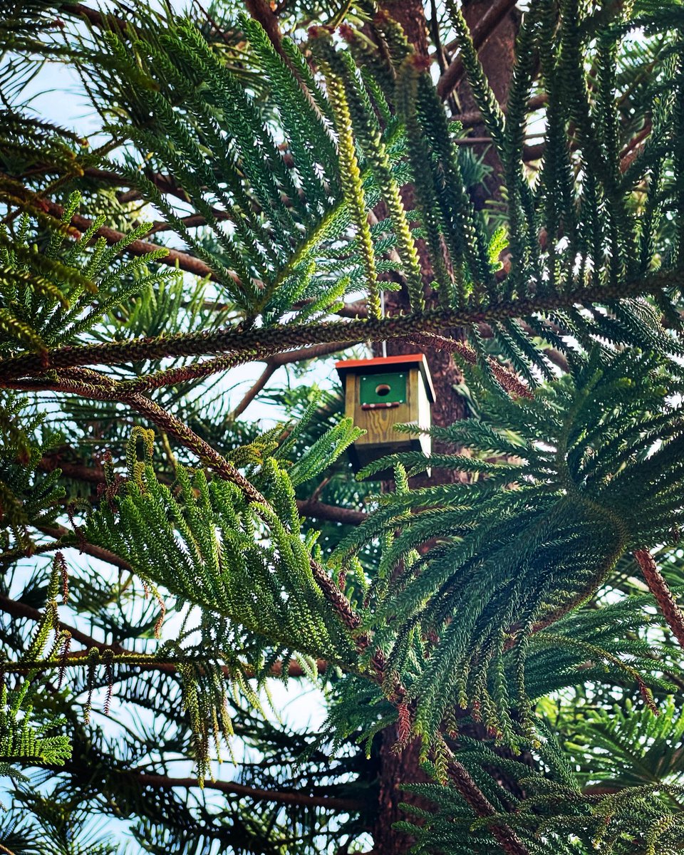 Jorge Fuentes (@jjorgefuentes) on Twitter photo 