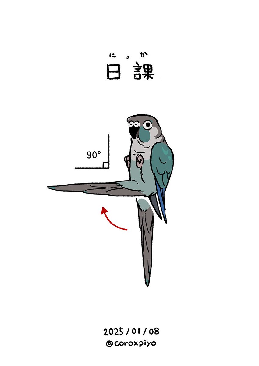 インコから生まれる美しい直角を毎日褒めている