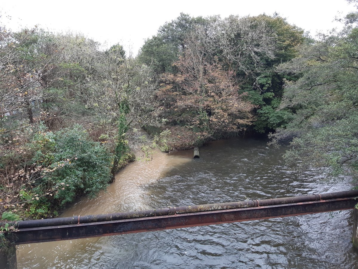 Rydym wedi erlyn Llanmoor Development Co. Limited yn llwyddiannus, cwmni adeiladu o Donysguboriau, am lygru nant wrth adeiladu cartrefi ger Ton-du, Pen-y-bont ar Ogwr.
Darllenwch y stori lawn naturalresources.wales/about-us/news-…