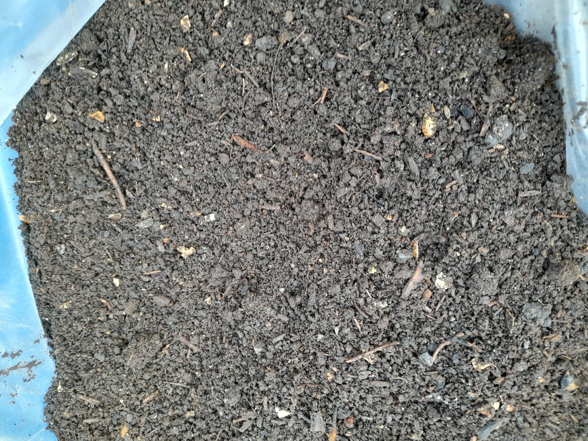 Vermican's tweet photo. 📍Mantenimiento técnico de compostaje comunitario en Ataun 🌿 ♻️ ¡Transformamos residuos en recursos!

#CompostajeComunitario #Sostenibilidad #EconomíaCircular #ResiduosCero https://t.co/DEXxL3vOzq