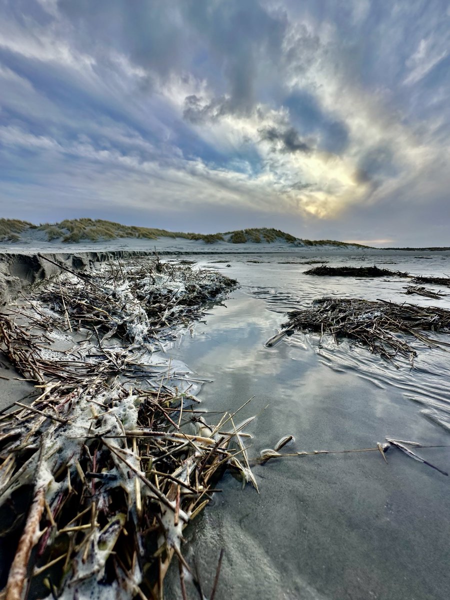 Vloedmerk #Schiermonnikoog