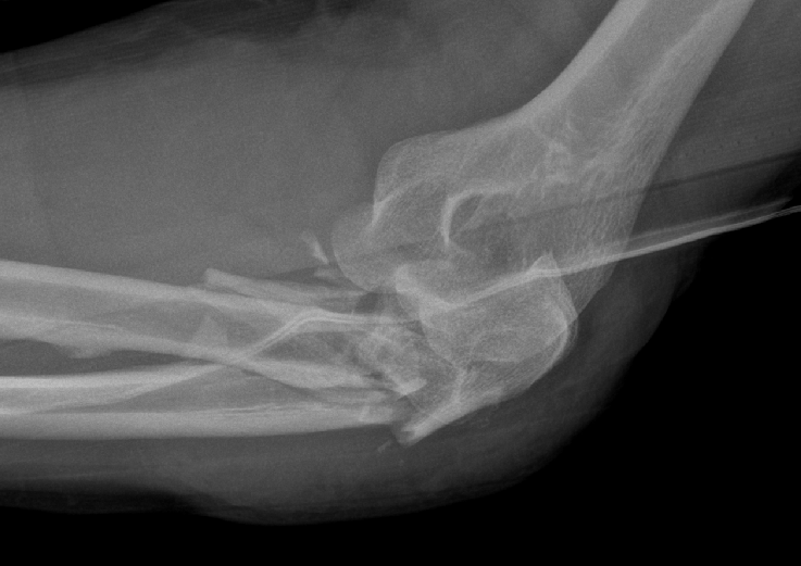 Dr. Edward Oates tweet media