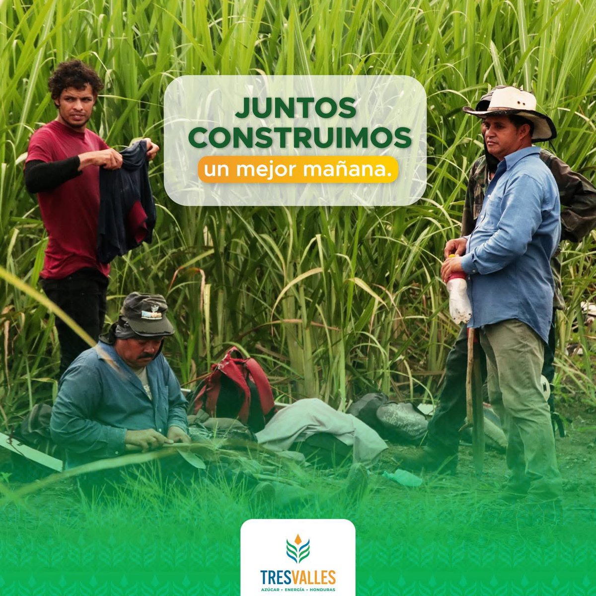 🚛 En #TresValles trabajamos con confianza y respeto! 😍💚 ¡Somos una sola fuerza! 💪🏼

Apostamos por el desarrollo de nuestro equipo👏, ejecutando nuestras funciones con los valores que nos llevan al éxito. 🌱🙌