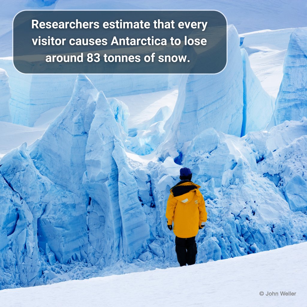 Antarctica’s fragile ecosystems are under pressure from booming tourism - 122,000 visitors in 2024. ASOC calls for a precautionary approach to protect this shared heritage from threats like pollution &amp; invasive species. #ProtectAntarctica 🇦🇶 Learn more: asoc.org/campaign/respo…