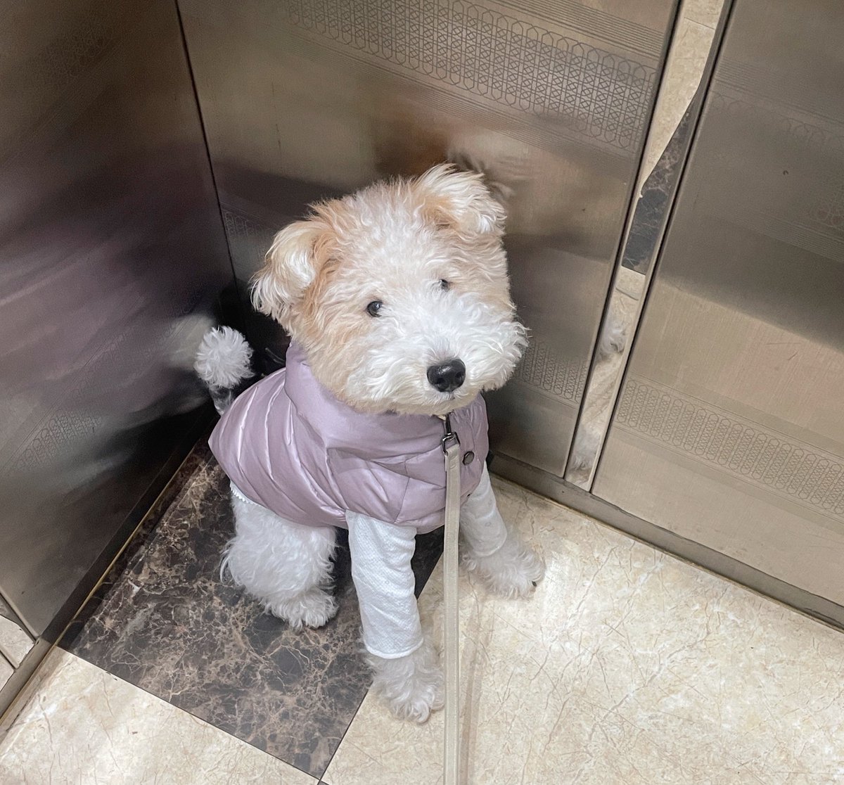 이무들 따듯하게 입구다니라.