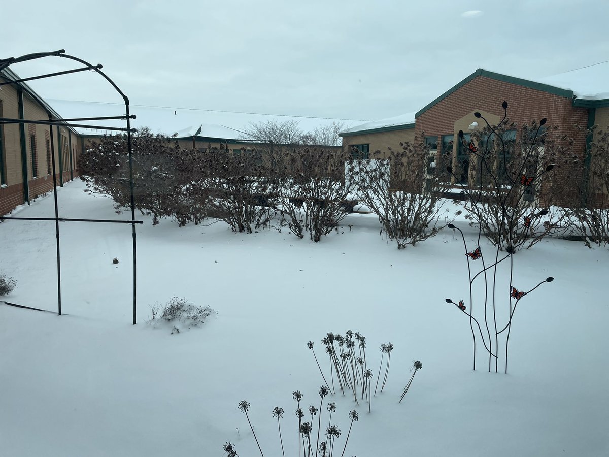 I alternate between thinking it’s so peaceful to wanting to make a snow angel!