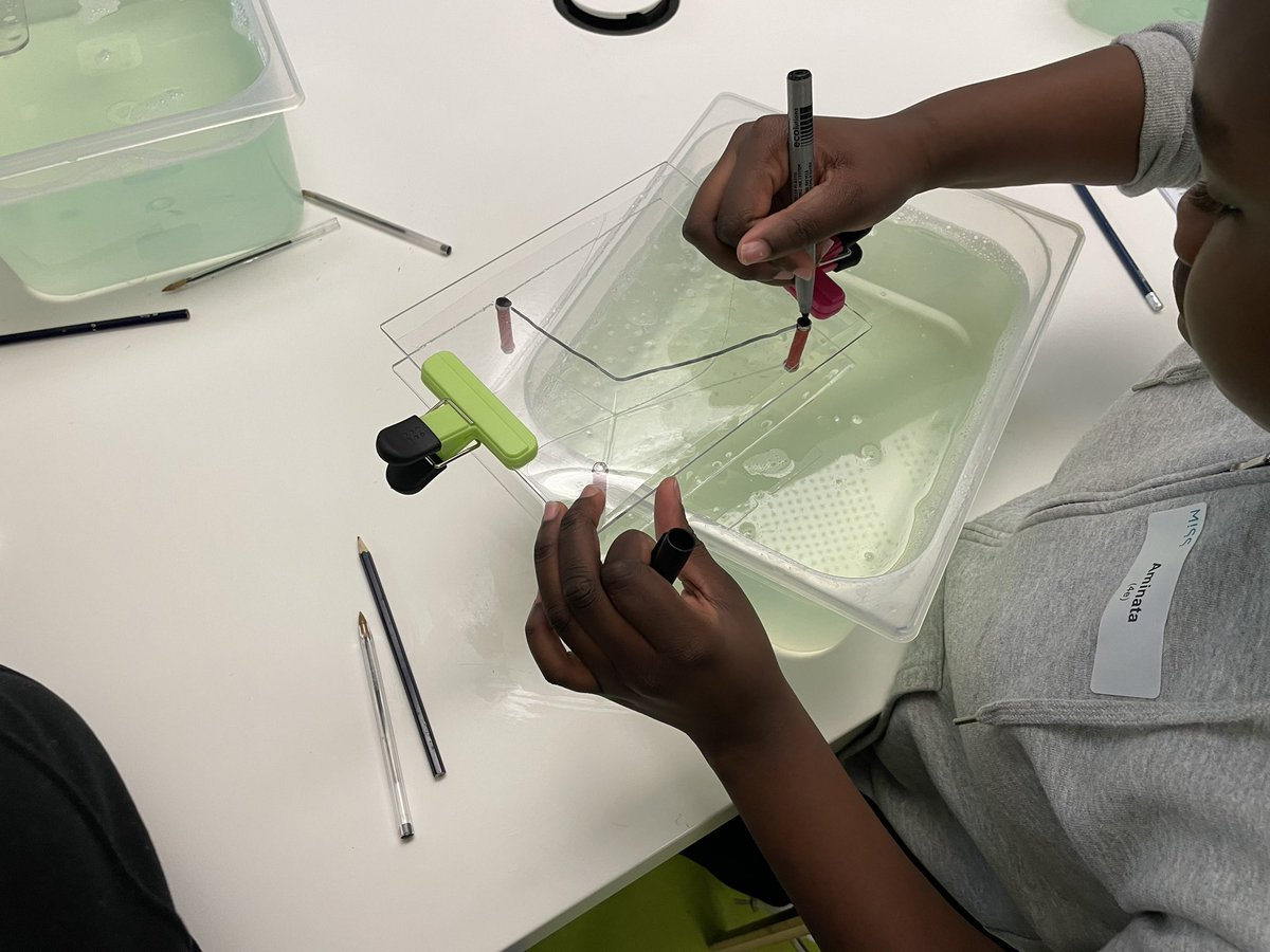 MISS_sciences tweet media