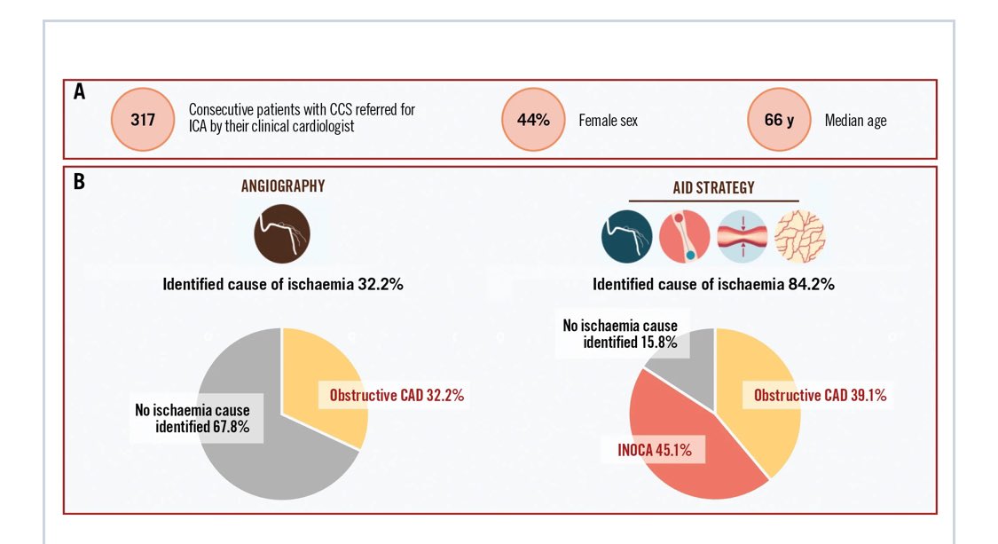 Adrián Jerónimo (@adrianjeronimob) on Twitter photo Very happy for the publication of our AID Angio in <a href="/EuroInterventio/">EuroIntervention</a>!
eurointervention.pcronline.com/article/compre…
A structured diagnostic strategy in patients with CCS compared with angio alone🟰2.6x⬆️ in the identification of a cause for myocardial ischaemia
<a href="/JEscaned/">Javier Escaned</a> <a href="/NievesGonzalo1/">Nieves Gonzalo</a> <a href="/JGParedesMD/">José G. Paredes Vázquez MD</a> Very happy for the publication of our AID Angio in <a href="/EuroInterventio/">EuroIntervention</a>!
eurointervention.pcronline.com/article/compre…
A structured diagnostic strategy in patients with CCS compared with angio alone🟰2.6x⬆️ in the identification of a cause for myocardial ischaemia
<a href="/JEscaned/">Javier Escaned</a> <a href="/NievesGonzalo1/">Nieves Gonzalo</a> <a href="/JGParedesMD/">José G. Paredes Vázquez MD</a>