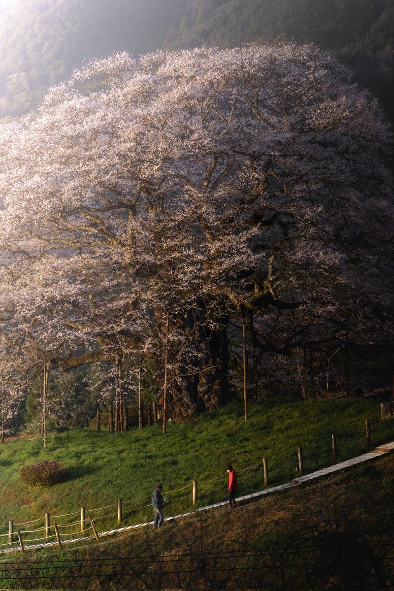 kzphoto_jp's tweet image. 岡山を拠点に、日本の四季や風景を巡っています。今年もどうぞよしなに。

#2025年になったのでフォロワーさんに自己紹介しようぜ