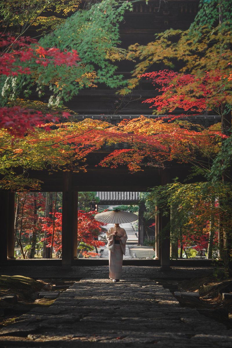 kzphoto_jp's tweet image. 岡山を拠点に、日本の四季や風景を巡っています。今年もどうぞよしなに。

#2025年になったのでフォロワーさんに自己紹介しようぜ