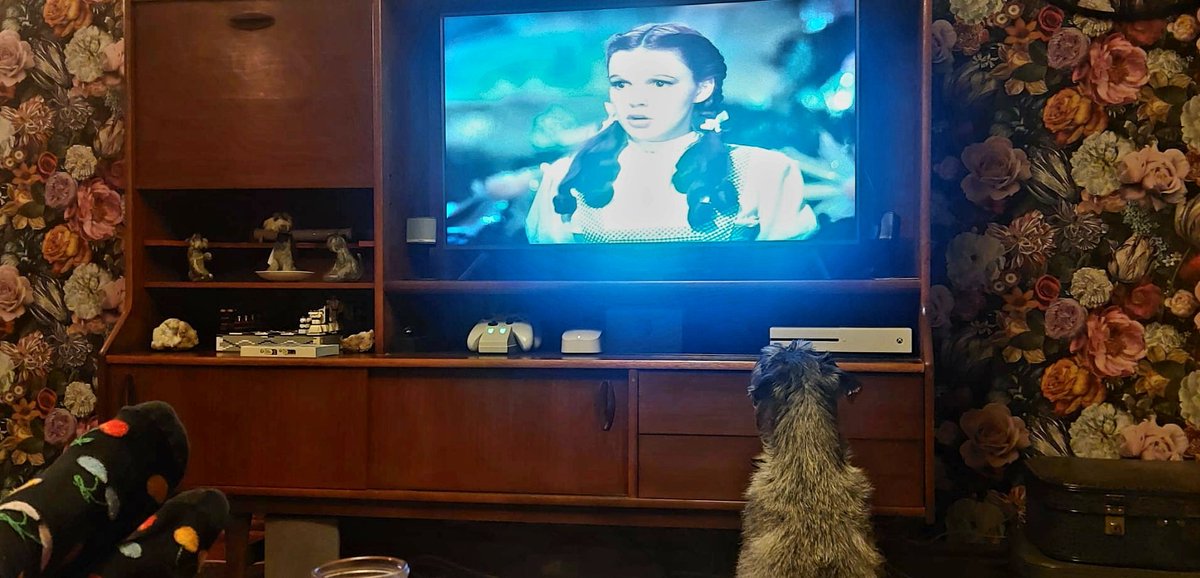 Last night we watched The Wizard Of Oz, Luna loved it. Shame she can't come to the cinema to watch Wicked with us today 💚 🩷 💚