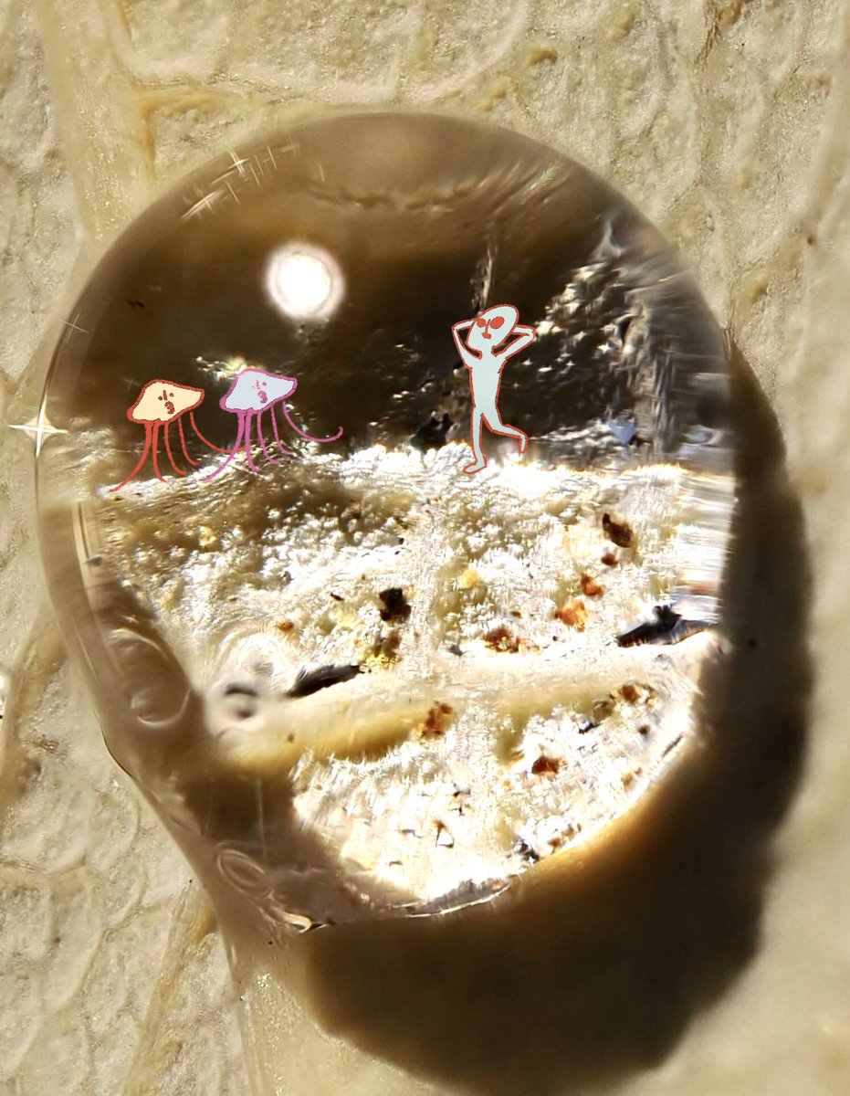 吉澤美香yoshizawamika she/her (@lucky_mika) / Posts / X