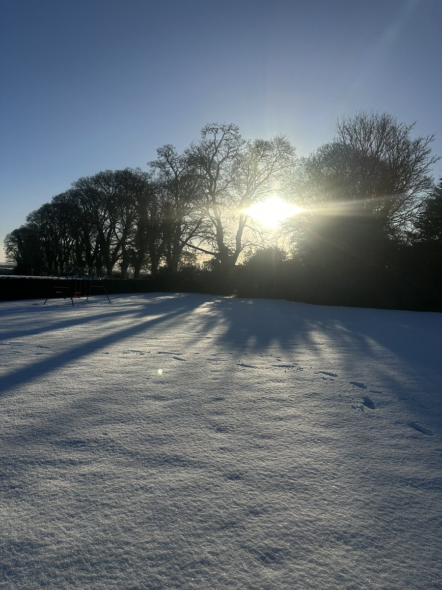 There is an ongoing research trial out there somewhere 🔎👀

Happy new year everyone! We’re looking forward to an exciting 2025 🔬🌾🐮 #irishresearch