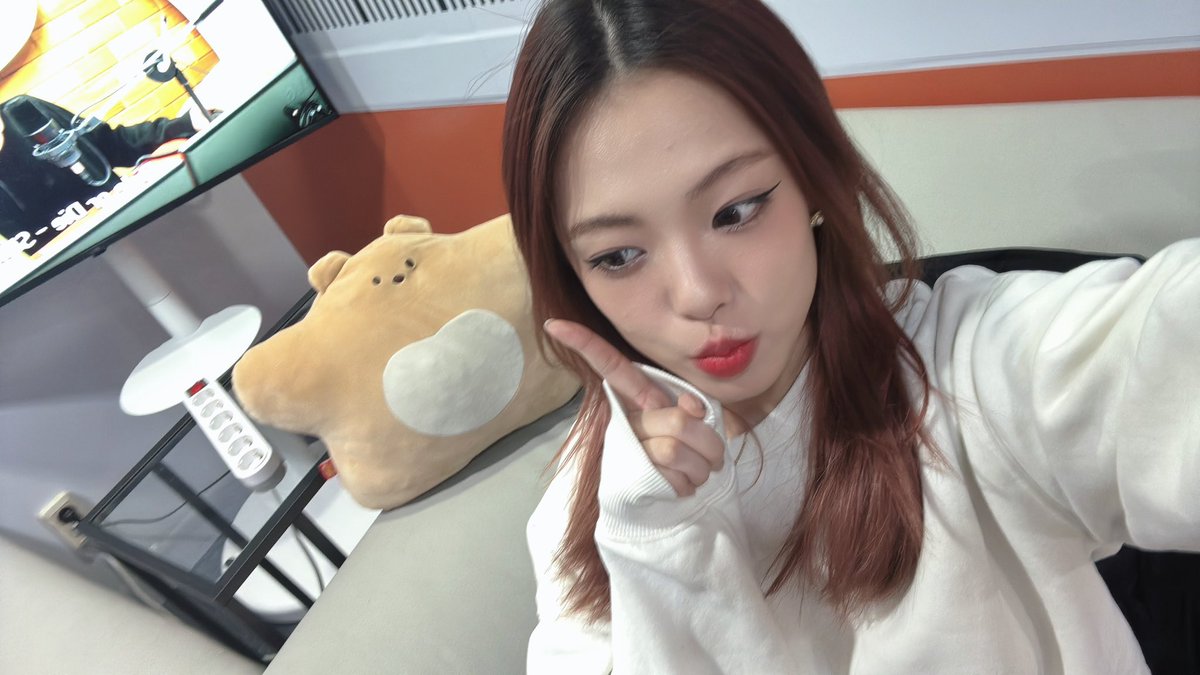 Lapillus OFFICIAL tweet media