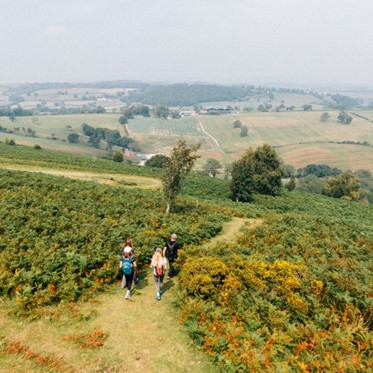 Incorporate walking into your daily routine with Glyndwr’s Way.

Near Welshpool? Try this 17.5km trail through woodland, leading to Y Golfa hill with stunning 360-degree views.

Find out more about this walk 👉 loom.ly/EuBJWUU