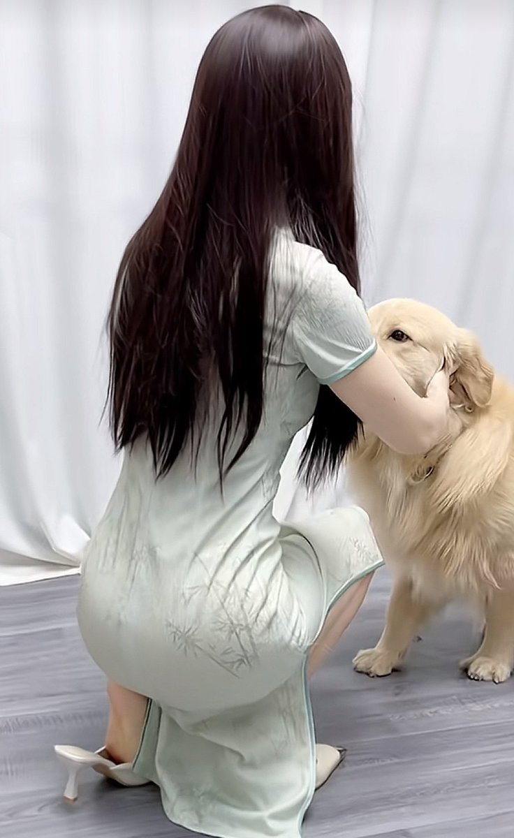 香香公主🐶和金毛小七(@xiangxiangup)  Posts  X