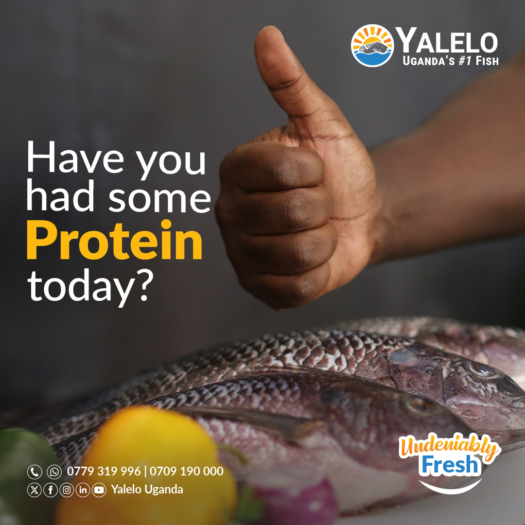 YaleloUganda's tweet image. Have you had some protein today? Call 0709190000 or 0779319996 and make your order. Enjoy Yalelo, #UgandasNo1Fish 😋🐟🍽️
#UndeniablyFresh