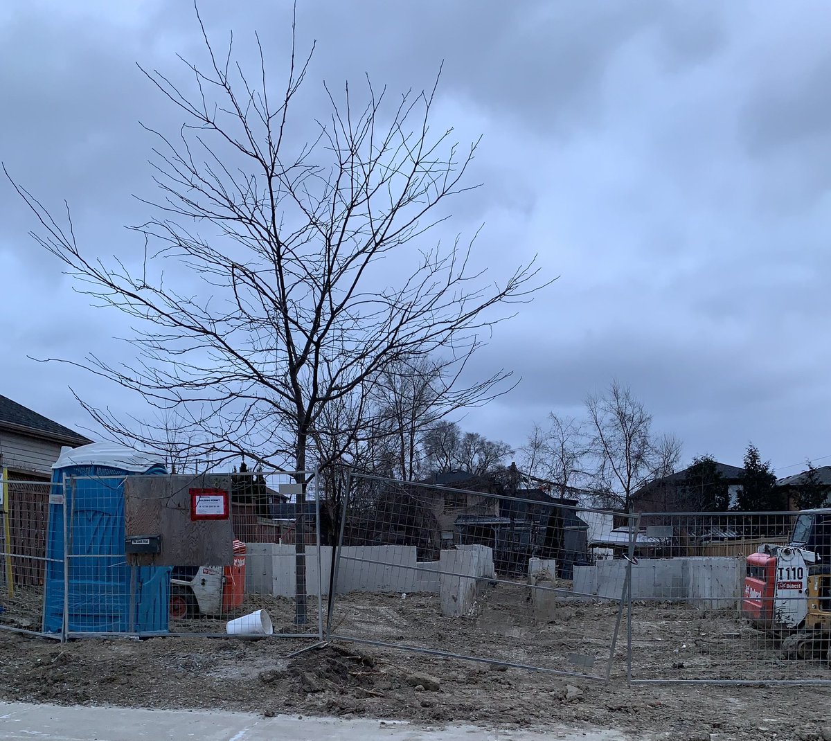 The usual stellar job of tree protection. Who’s minding the urban forest?<a href="/ombudsmanTO/">Ombudsman Toronto</a> <a href="/311Toronto/">311 Toronto</a> <a href="/BradMBradford/">Brad Bradford</a> <a href="/TorontoPFR/">City of Toronto PFR</a>