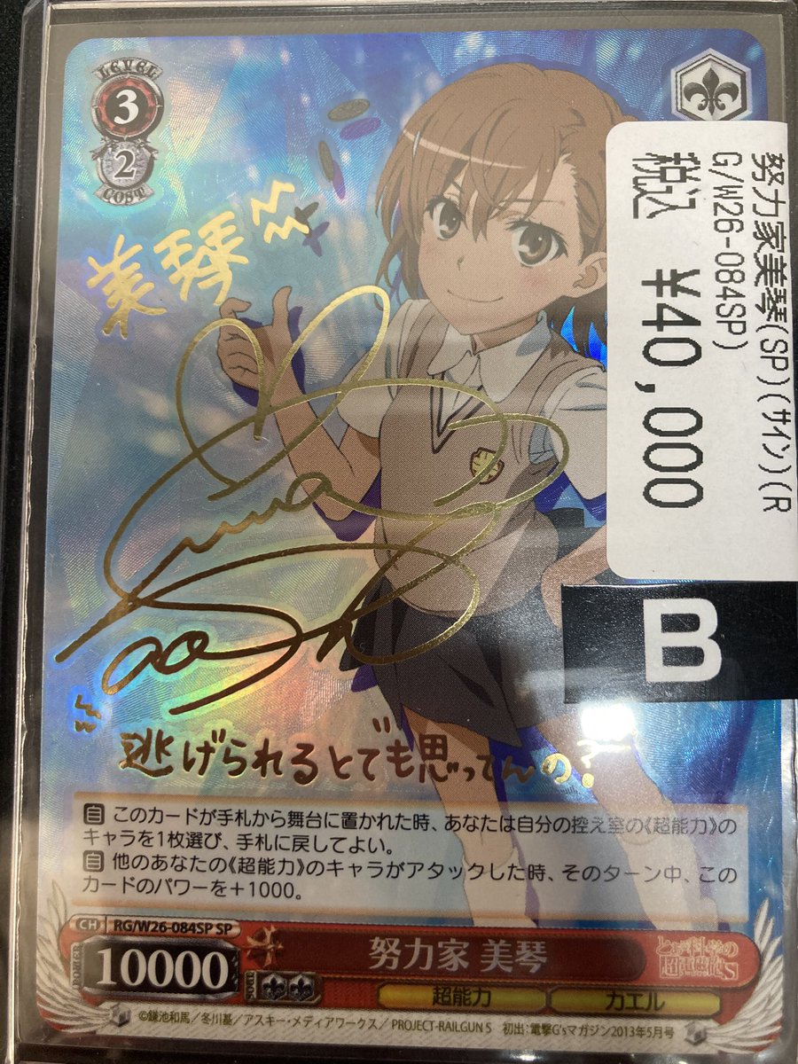 ヴァイス努力家 美琴SP-Patagonia パタゴニア Mars Slingshot Jacket